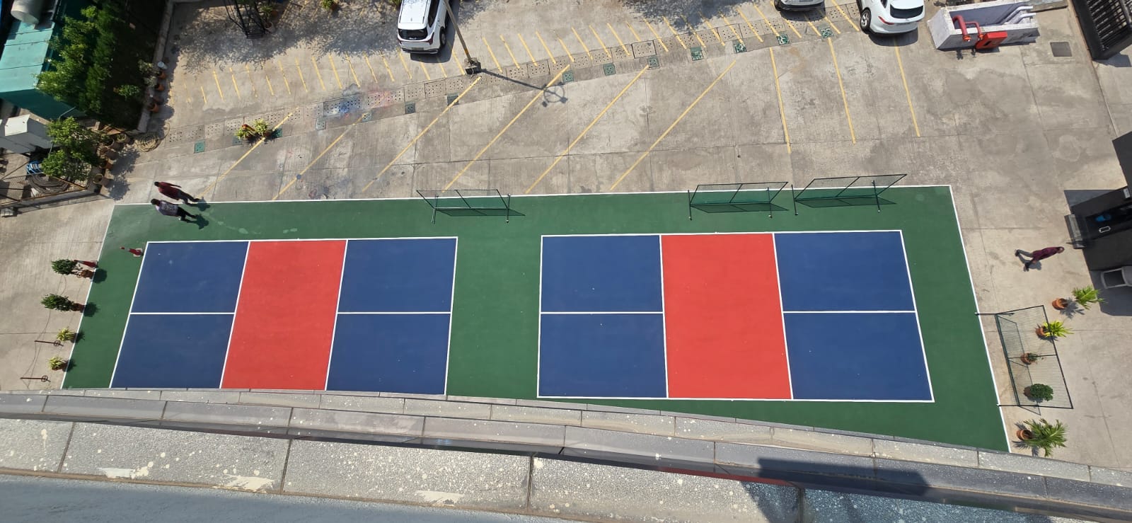 Professional pickleball court setup