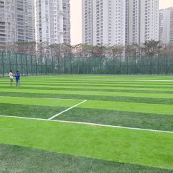 Praxis sports - Malaysian town ship, Kukatpally, Hyderabad