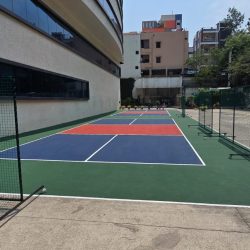 Professional Pickle Ball Court