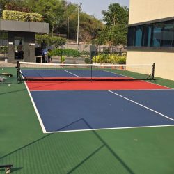 Professional Pickle Ball Court